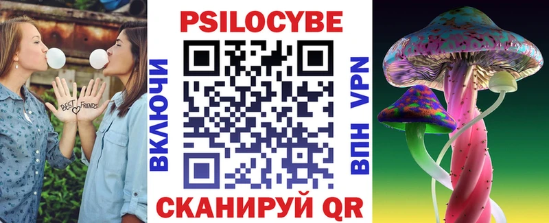 Псилоцибиновые грибы мицелий  Сураж 